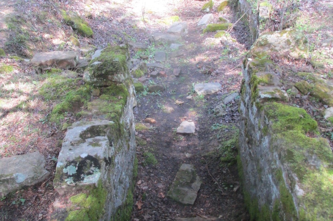 Highlighted Community: Altamont/Monteagle TN