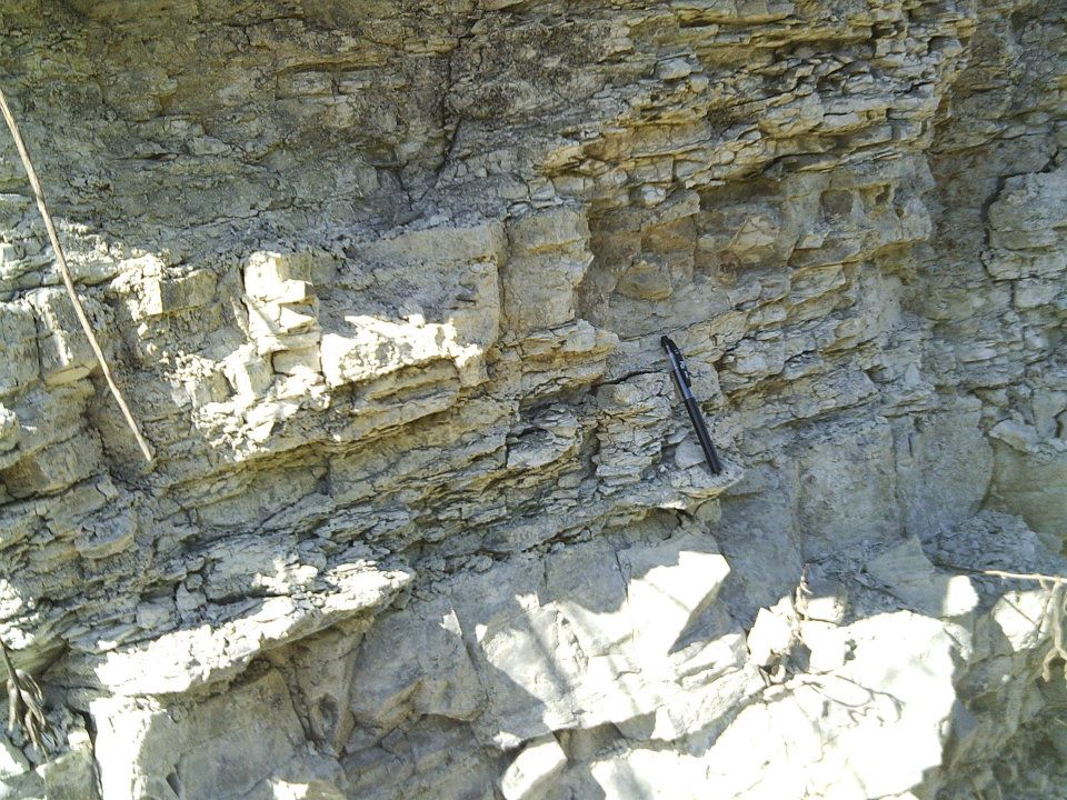 limestone and shaly limestone