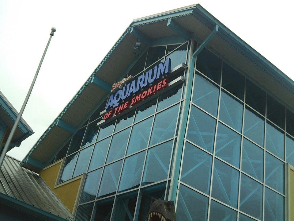 aquarium of the smokies