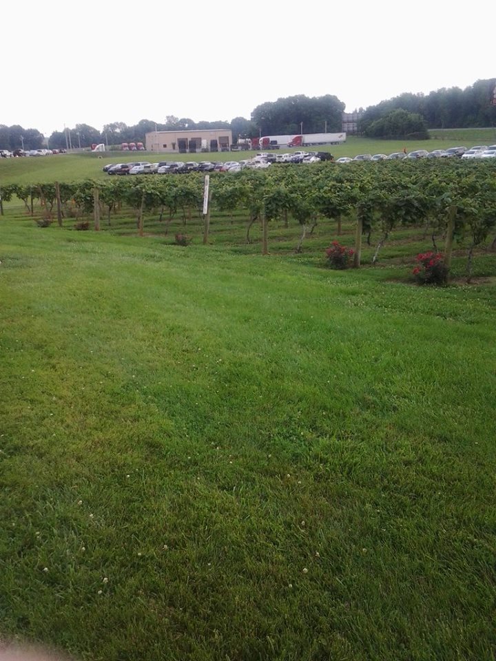 Beechhaven Winery