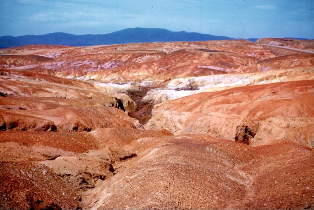 Nooga Ducktown Previous