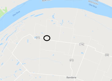 The circle is monkeys eyebrow